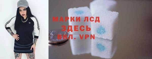 гидра Аркадак